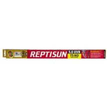 Zoomed T6016724 Lampada Reptisun