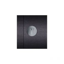 ZT-rosetón de puerta perfil pz, 0 17 1737,círculo ,F69 mata