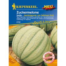 Zuckermelone Stellio Cucumis melo, Inhalt 5 Korn Obstsamen - Kiepenkerl