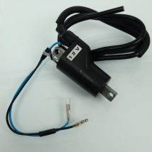 Zündspule Ht Bcr Für Roller Suzuki 250 An Burgman 1998 Bis 2006