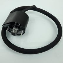 Zündspule Ht Mitsubishi Für Roller Honda 250 Forza 2008 Bis 2012