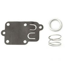 ZVD - Membrane carburetor Briggs and Stratton
