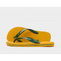 Havaianas Brazil Logo Flip Flops