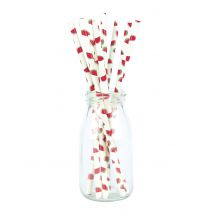 10 Kartonnen rietjes verse watermeloen 20 cm