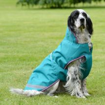 Bucas Freedom Dog 50g - Cerise