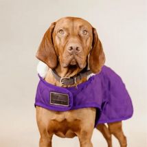 Kentucky Dogwear Manteau pour chien Original