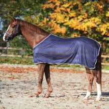 Chemise anti-mouches Kavalkade Stripe