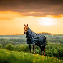 Horseware Amigo Ripstop 900D Plus Pony Turnout 0g