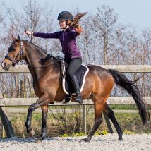 QHP Bareback Pad
