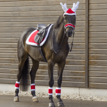 Tapis de selle de Noël QHP