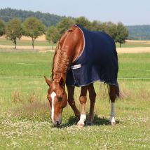 HorSeven Cooler "Lucky Seven" sans le symbole Horseven - ...