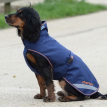 Bucas Therapy Dog Rug - Marine/Orange 0g - Couverture pou...