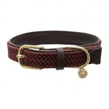 Kentucky Dogwear Collier pour chien en nylon plaqué - Bo...