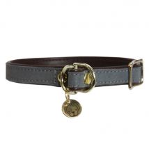 Kentucky Dogwear collier Dog Collar "Loop" - Grey