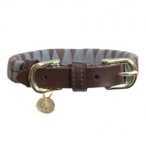 Kentucky Dogwear collier Dog Collar Triangle - Marron