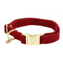 Kentucky Dogwear collier Dog Collar "Corduroy" - Rouge