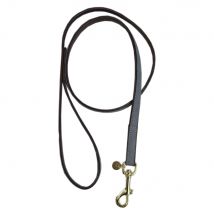 Kentucky Dogwear Laisse pour chien "Loop" - Grey