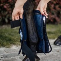 Kentucky Horsewear Cryo Ice Boots - noir