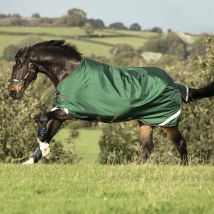 Horseware Rambo Original Turnout Lite 100g - Vert/Rouge