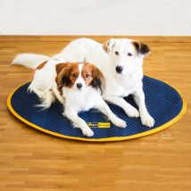 equimag expert tapis petits animaux