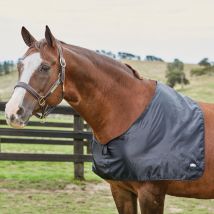 Weatherbeeta Satin Shoulder Guard - Noir