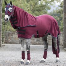 Horseware Rambo Show Set Sheet - Bourgogne