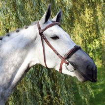 QHP Protection nasale contre les mouches