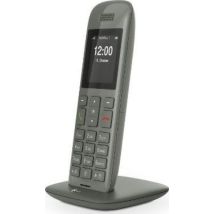 Telekom Speedphone 11 Terminal inalámbrico TFT Gra
