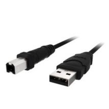 Belkin USB A/B cable USB 1,8 m USB B Negro