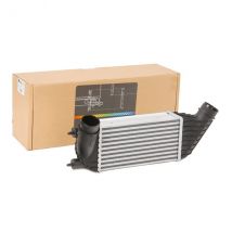 THERMOTEC Ladeluftkühler Netzmaße: 300-156-80 DAC006TT Intercooler FIAT,PEUGEOT,TOYOTA,Scudo (270_, 272_),Scudo Kastenwagen (270_, 272_)