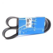 SKF Courroie Poly-V VKMV 6PK1050 Courroie d'accessoire,Courroie trapézoïdale à nervures VW,AUDI,OPEL,Golf V Schrägheck (1K1),TOURAN (1T1, 1T2)