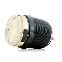RIDEX Ressort pneumatique, châssis des deux côtés du pont arrière 4119A0025  AUDI,A6 Avant (4F5, C6),A6 Limousine (4F2, C6),A6 Allroad (4FH, C6)