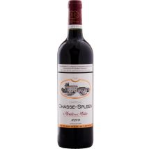 Château Chasse-Spleen 2013 - Bordeaux