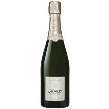 Mailly Extra-Brut 2019 - Champagne Extra Brut