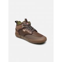 Chaussures de sport Motley mid Marron - Globe - Disponible en 42
