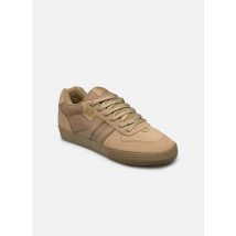 Chaussures de sport Encore 2 Beige - Globe - Disponible en 44