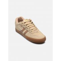 Globe - Sportschuhe Encore 2 - beige - Größe 42