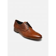 Lloyd - Schnürschuhe GALANT - braun - Größe 44