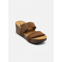 Plakton - Zuecos So Rock - Beige - Talla 41