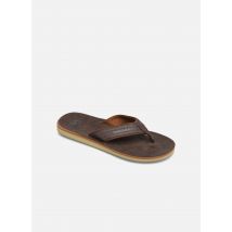 Zehensandalen Carver Nubuck Braun - Quiksilver - Größe 45