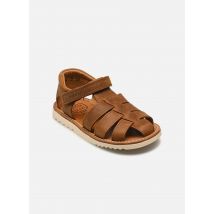 Pom d Api - Waff Papy Marrone - Sandali e scarpe aperte - Taglia 25