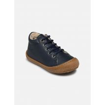 Naturino - Schnürschuhe Cocoon - blau - Größe 20