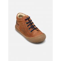 Naturino - Cocoon Marrone - Scarpe con lacci - Taglia 24