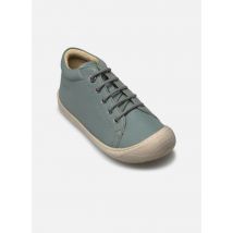 Naturino - Zapatos con cordones Cocoon - Azul