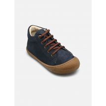 Chaussures à lacets Cocoon Bleu - Naturino - Disponible en 23