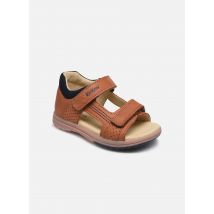 Sandales et nu-pieds Plazabi Marron - Kickers - Disponible en 27