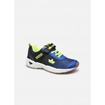 Lico - Barney Vs - Azul - Deportivas