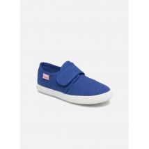 Cienta - Julio - Azul - Deportivas - Talla 25