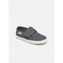 Cienta - Julio - Gris - Deportivas - Talla 24