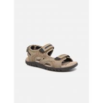 Sandalen U S.STRADA D U8224D Beige - Geox - Größe 40